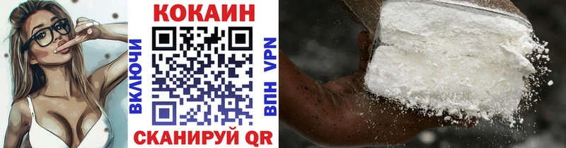 Кокаин FishScale  цены наркотик  Новодвинск 