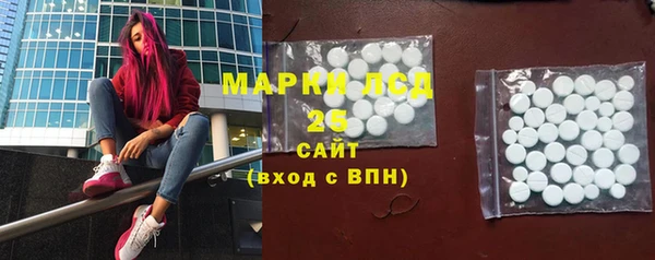 стаф Новозыбков