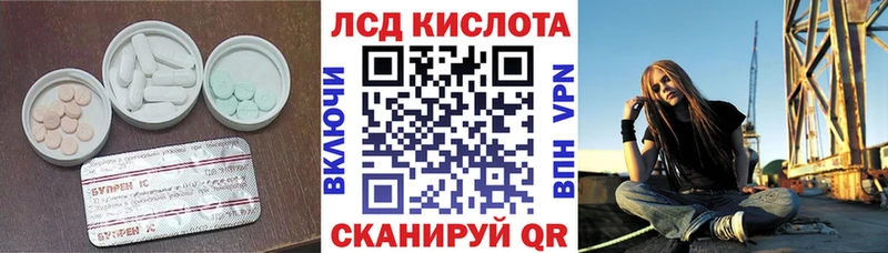 ЛСД экстази ecstasy  omg сайт  Новодвинск  где купить наркотик 