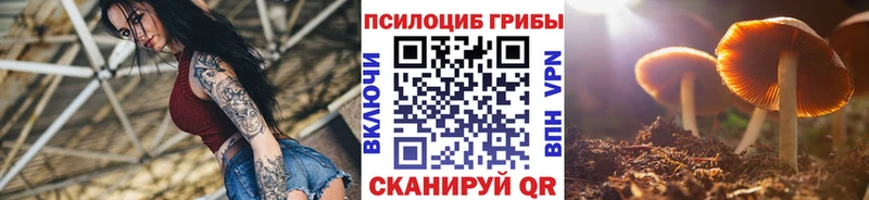 это как зайти  Новодвинск  Псилоцибиновые грибы мухоморы  hydra как войти 