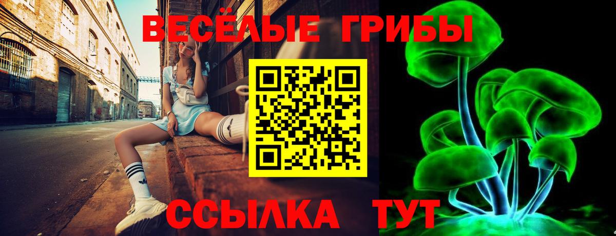 Галлюциногенные грибы MAGIC MUSHROOMS  Вход с VPN  Новодвинск  Псилоцибиновые грибы прущие грибы 